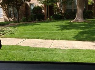 landscape of texas schertz tx|Best 15 Landscapers & Landscaping Companies in Schertz, TX.
